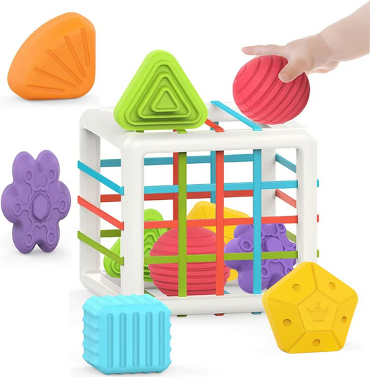 Sorter Toy Colorful Cube