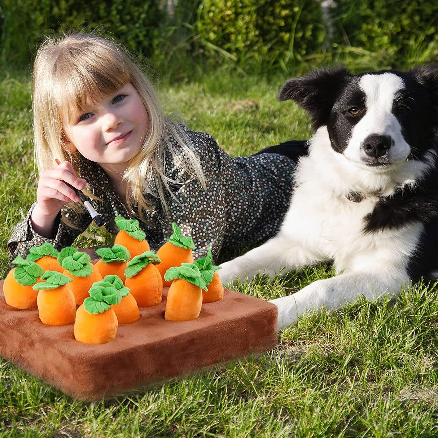 Toys Plush Carrot Snuffle Mat