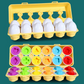 Matching Eggs Montessori Sensory Toy